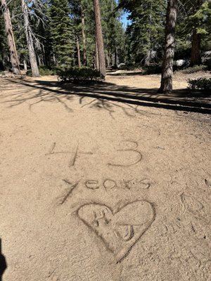 Cedar Glen Lodge by null