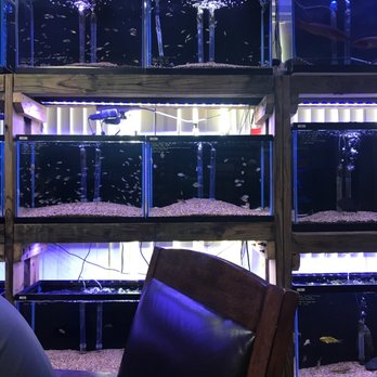 River City Aquatics - Local Fish Stores Near Me - Austin, Texas River City Aquatics - Local Fish Stores Near Me - Austin, Texas