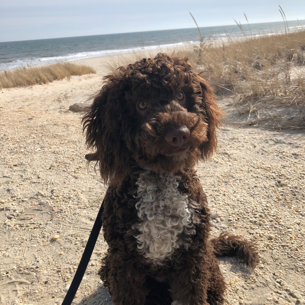 I go everywhere with my family and I love the beach!