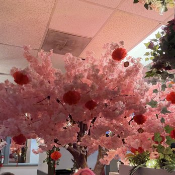 Pho Sedona - Cherry blossom - Vietnamese Near Me - Phoenix, Arizona Pho Sedona - Cherry blossom - Vietnamese Near Me - Phoenix, Arizona