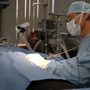 Photo of Midland Park Veterinary Hospital