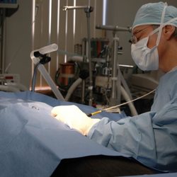 Midland Park Veterinary Hospital - We offer cutting-edge laser surgery!