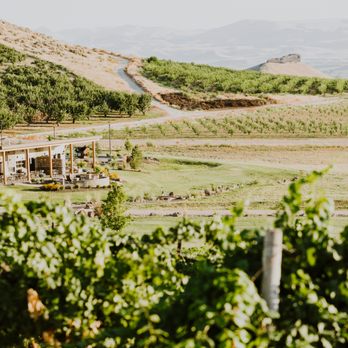 Sawtooth Winery - Wineries Near Me - Caldwell, Idaho