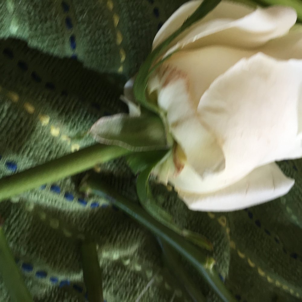 Bergner and Johnson Design - Florists Near Me - Houston, Texas