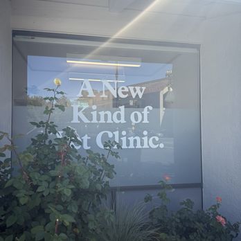 Modern Animal Walnut Creek - One of the windows outside - Veterinarians Near Me - Walnut Creek, California