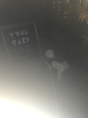 Vyne Yard Wine Shop by null