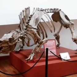Museo de Ciencias Naturales