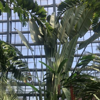 Garfield Park Conservatory - Parks Near Me - Chicago, Illinois