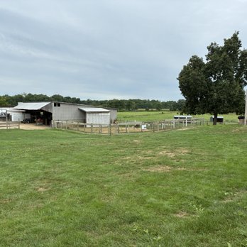 Johnson's Locust Hall Farm - View of the animal area - Attraction Farms Near Me - Jobstown, New Jersey Johnson's Locust Hall Farm - View of the animal area - Attraction Farms Near Me - Jobstown, New Jersey