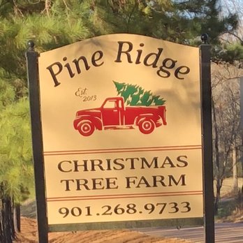 Pine Ridge Tree Farm - Farms Near Me - Nesbit, Mississippi Pine Ridge Tree Farm - Farms Near Me - Nesbit, Mississippi
