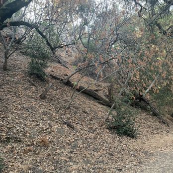Stevens Creek County Park - Parks Near Me - Cupertino, California Stevens Creek County Park - Parks Near Me - Cupertino, California