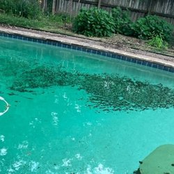 Pool after opening