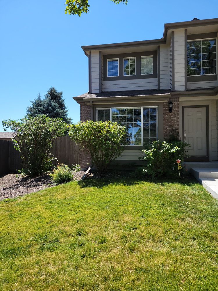 Mr Squid's Maintenance Solutions - tree service in Colorado Springs, CO