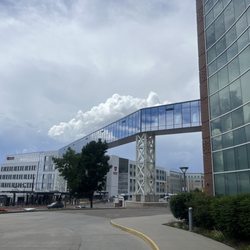 Moran Eye Center