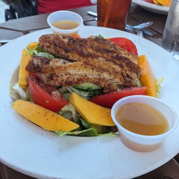 Gulf Drive Cafe - Grilled grouper on mango avacado salad! Yum - Seafood Near Me - Bradenton Beach, Florida
