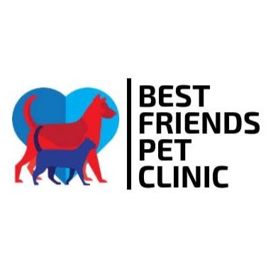 best friends clinic