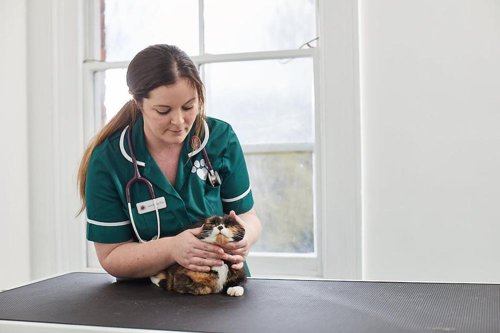 BEST FRIENDS Updated July 2024 31 Photos 3 Upwell Road, March