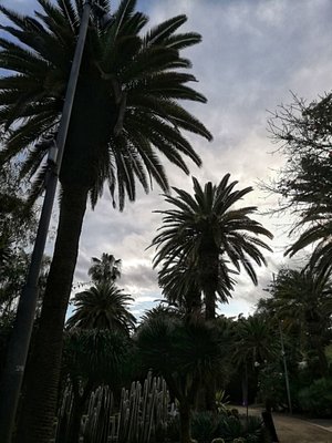 Parque García Sanabria by null