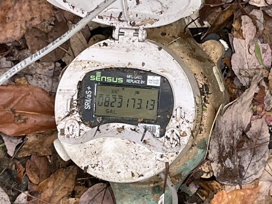 Blue Plumbing Services