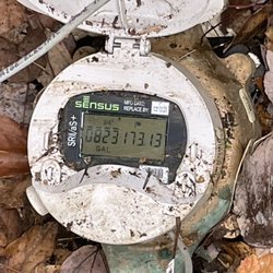 Blue Plumbing Services