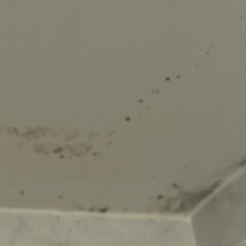 Lakeview Golf Resort & Spa - Black mold on the ceiling - Golf Near Me - Morgantown, West Virginia