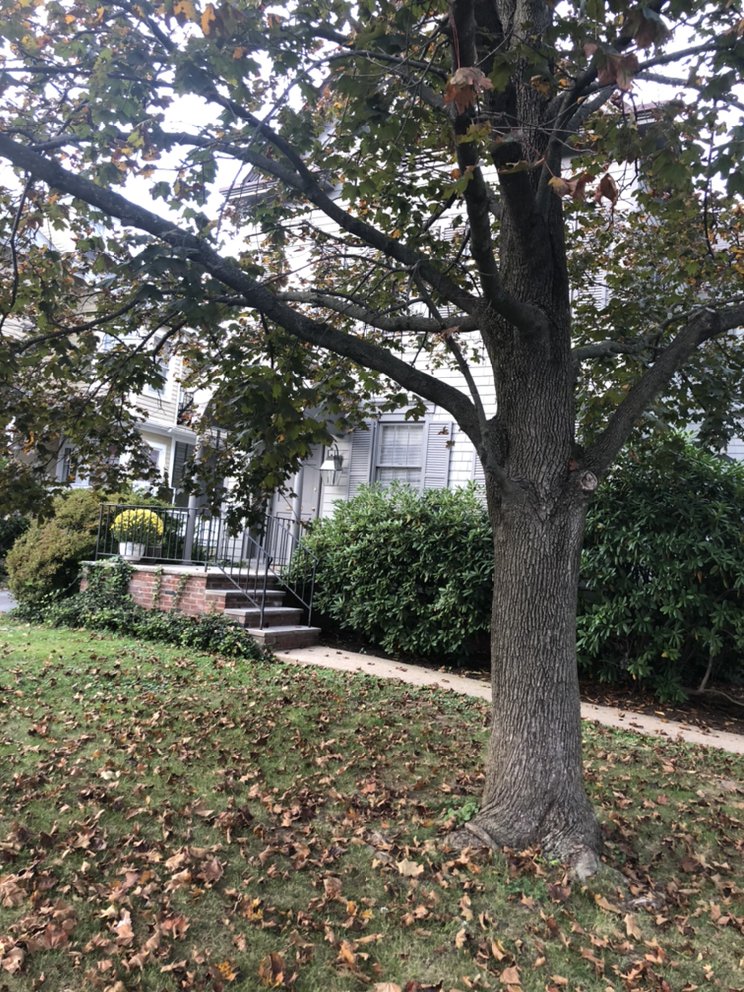 Scherzer Clinical & Behavioral Psychology - grief counselor in Morristown, NJ