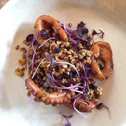 Seed Winehouse + Kitchen - Octopus