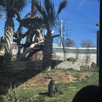 San Antonio Zoo - Zoos Near Me - San Antonio, Texas