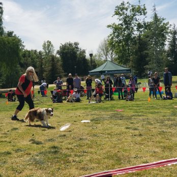 Conejo Creek North Park - Frisbee dog show- Bark in the Park event - Parks Near Me - Thousand Oaks, California Conejo Creek North Park - Frisbee dog show- Bark in the Park event - Parks Near Me - Thousand Oaks, California
