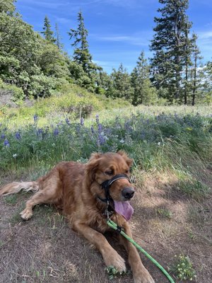 Coyote Wall Trailhead by null