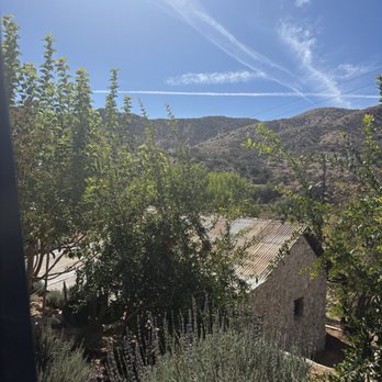 Bloom Ranch Of Acton - Farms Near Me - Acton, California