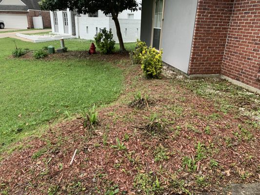 OUR BEAUTIFUL BEFORE AND AFTER PHOTO’S - Take a look at our beautiful gallery of before and after photo’s. We hope you love them as much as we do! If you or someone you know is looking for our service, Call to book now!! (225)480-5854!!