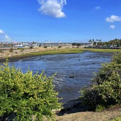 Golden Shore Marine Preserve