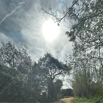 Sant Pere del Bosc - Dirt path to the hotel - Catalan Near Me - Lloret de Mar, GI