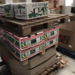 Holy Organic