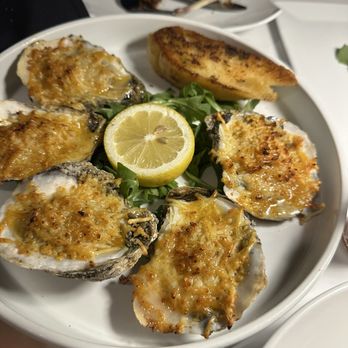 Cork Oak - Oysters - Wine Bars Near Me - Lansing, Illinois Cork Oak - Oysters - Wine Bars Near Me - Lansing, Illinois