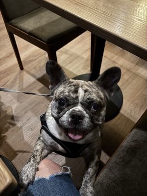 Frenchie Wine Bar by null