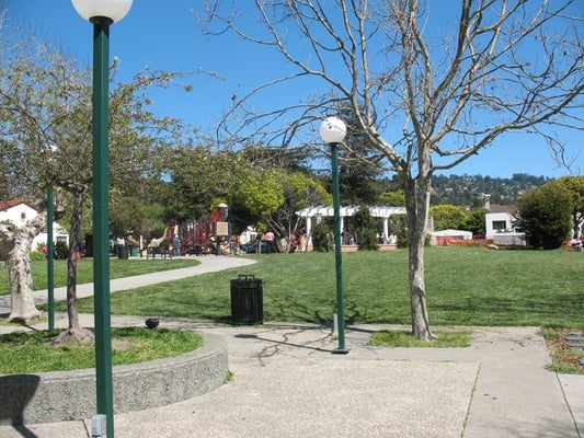 Memorial Park by null