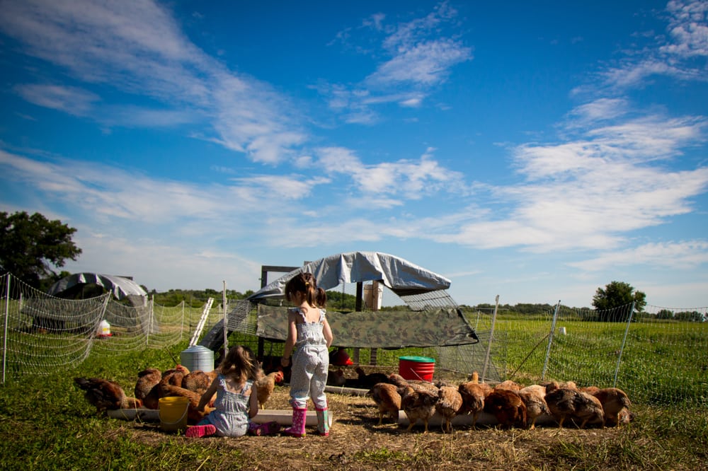 KINNIKINNICK FARM Updated March 2024 15 Photos 21123 Grade School Rd, Caledonia, Illinois