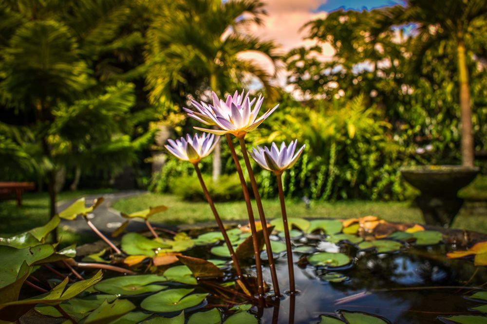 Reed Psychiatry - grief counselor in Nampa, ID