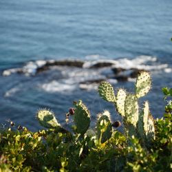 Crescent Bay Point Park