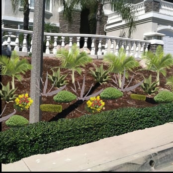 Dave's Landscaping - Hillside landscape - Landscaping Near Me - Covina, California Dave's Landscaping - Hillside landscape - Landscaping Near Me - Covina, California