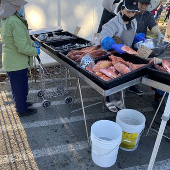 Milpitas Farmers' Market - Farmers Market Near Me - Milpitas, California Milpitas Farmers' Market - Farmers Market Near Me - Milpitas, California