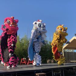 Davis Cherry Blossom Festival