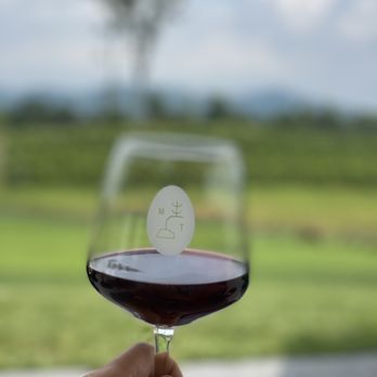 Marked Tree Vineyard - Wine glass facing the vineyard - Wineries Near Me - Flat Rock, North Carolina Marked Tree Vineyard - Wine glass facing the vineyard - Wineries Near Me - Flat Rock, North Carolina