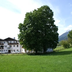 Alpenbad - Alpenbad