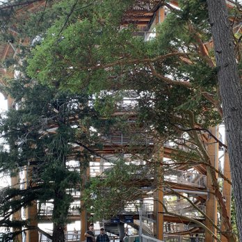 Malahat Skywalk - View from outside - Historical Tours Near Me - Malahat, British Columbia