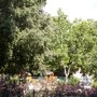 Photo of Square Montrichet