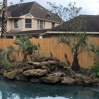 Moon Valley Nurseries - 3 year old Pindo Palms. - Nurseries & Gardening Near Me - Houston, Texas