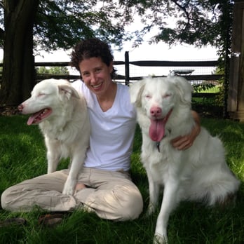 Barnyard Behavior - Pet Training Near Me Barnyard Behavior - Pet Training Near Me